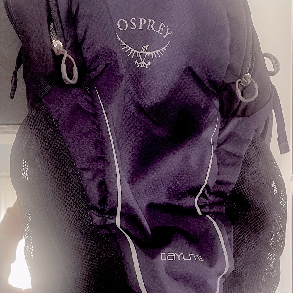 Osprey daylite backpack.  Great pack with lots of pockets.